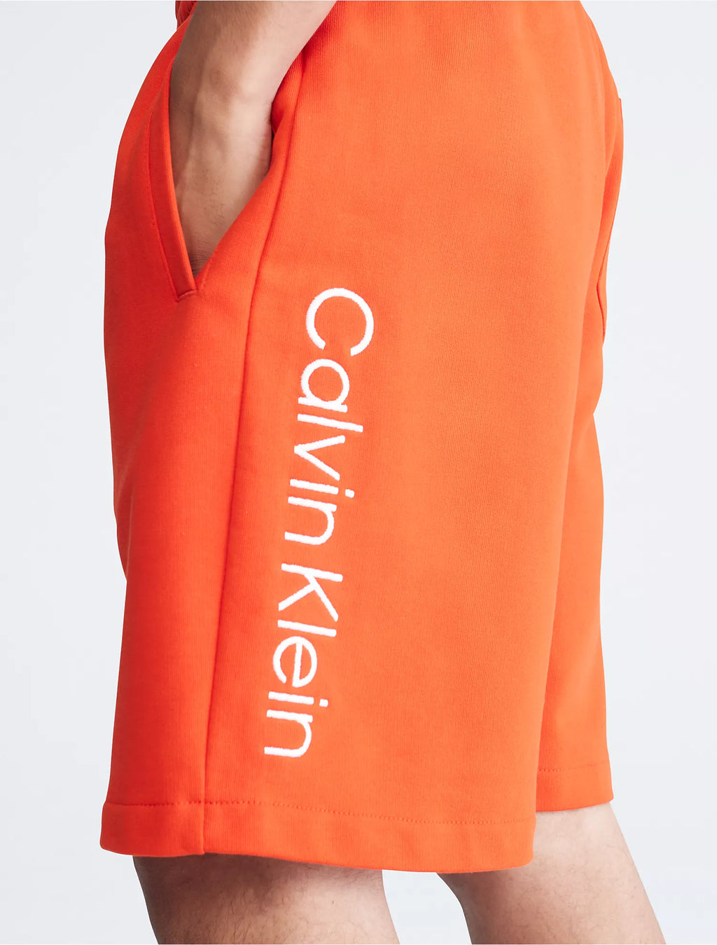 Calvin Klein Standard Logo Shorts - Men