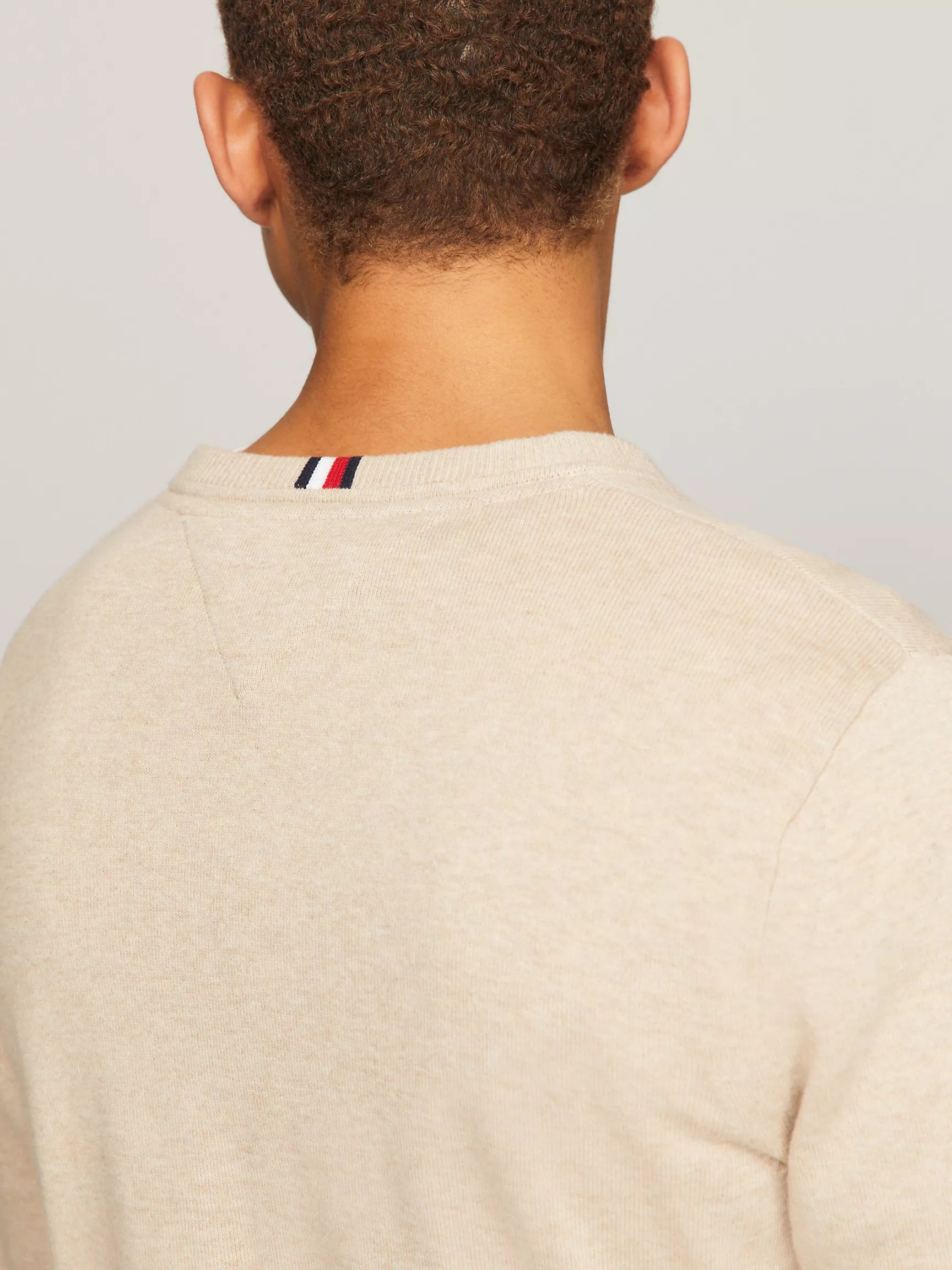 Tommy Hilfiger Solid Logo V-Neck Sweater - Men