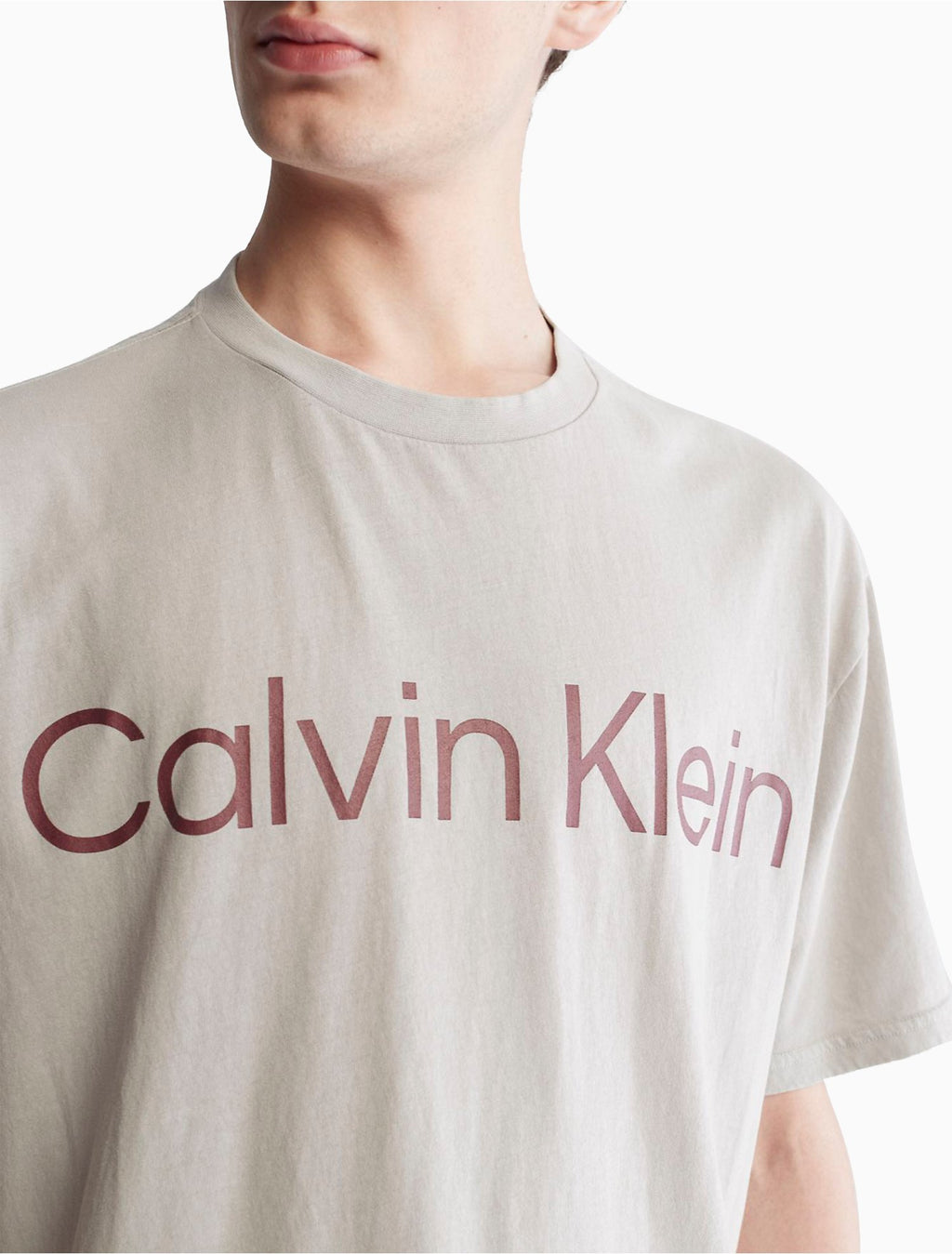 Calvin Klein Naturals Relaxed Fit Tea Dye Logo TShirt - Men