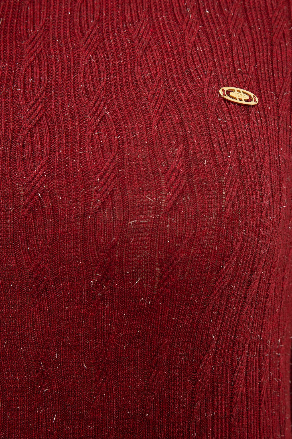 US Polo Assn. Slim Fit Plain Pattern Shiny Pullover with Metal USPA Logo - Women